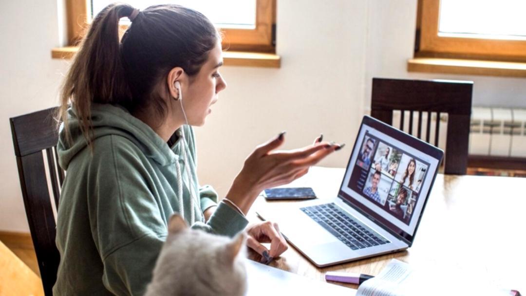 Professionelle Kontaktmöglichkeiten für SEO-Seminare